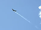 Military history reenactment during Bagration Festival