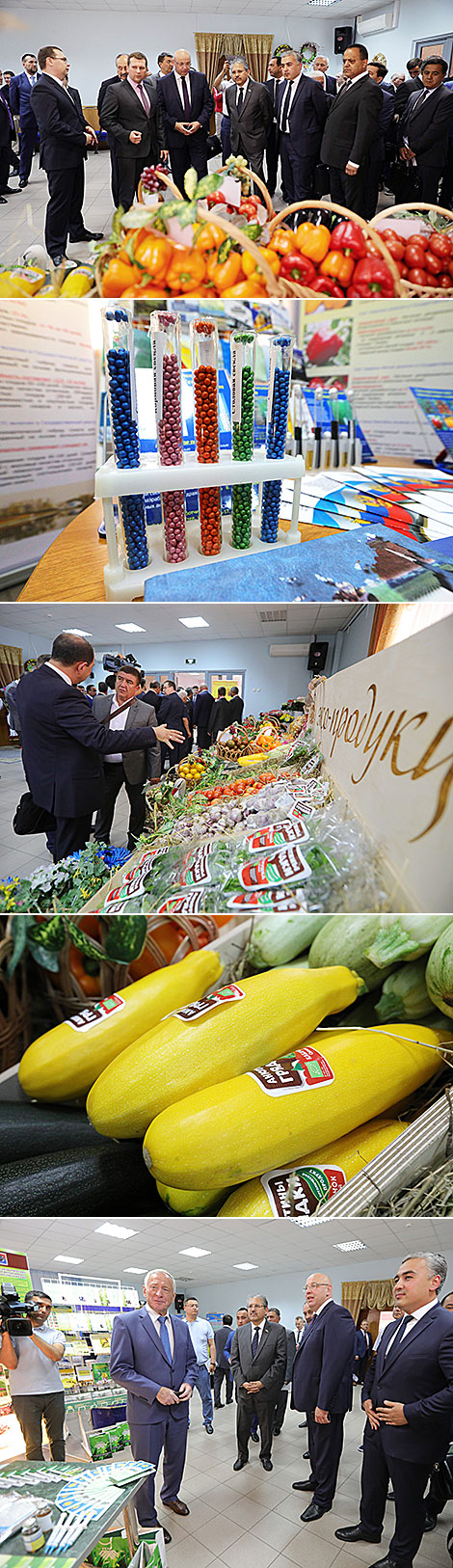 The 1st Forum of Regions of Belarus and Uzbekistan in Minsk