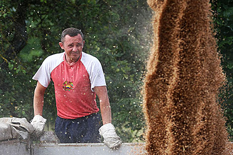 Водитель Александр Короза СПК им.Деньщикова