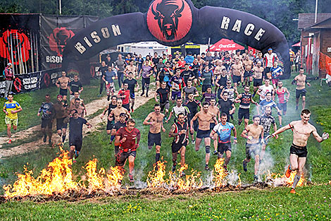 Bison Race in Logoisk District