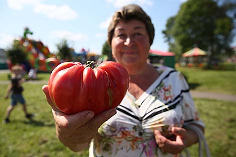 Ivye Tomato Festival