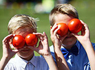 Tomato battle, Big Tomato Contest and 6-meter sandwich: Ivye hosts tomato festival  