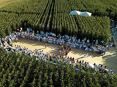 Belarusian designers stage fashion show in corn field