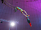 Belarus to showcase flying trapeze and strongman act at Festival of Circus Arts