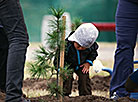 International Day of Peace in Brest