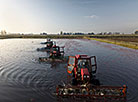 Cranberry harvesting in Brest Oblast