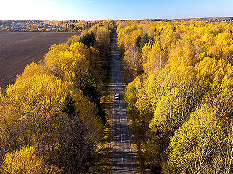 Осень в Логойском районе