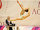 Rhythmic Gymnastics Tournament for Marina Lobach Prizes 