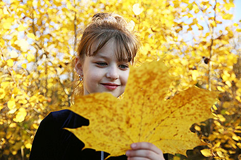 Autumn in Grodno District