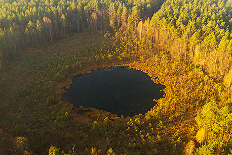Azyory nature reserve, Grodno District