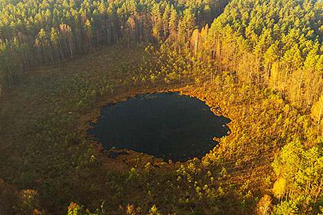 На озере Кань-Белое в Республиканском ландшафтном заказнике 