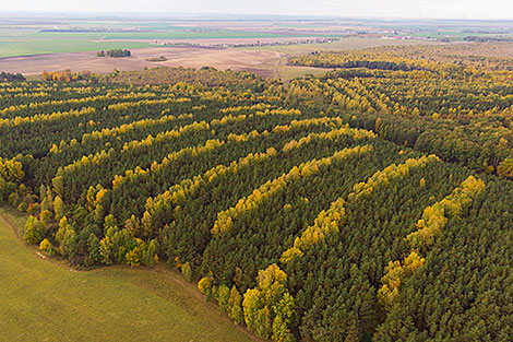 Восень у Гродзенскім раёне