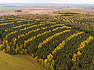 Восень у Гродзенскім раёне