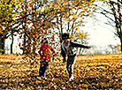Autumn in Mankovichi Park of Slonim 