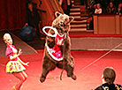 Animal Circus from Moscow in Gomel 