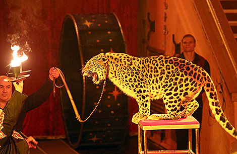 Animal Circus from Moscow in Gomel 