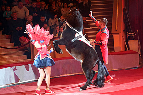 Animal Circus from Moscow in Gomel 