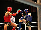 2019 European Muaythai Championships in Minsk