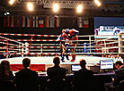 2019 European Muaythai Championships in Minsk