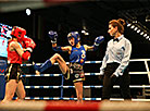 2019 European Muaythai Championships in Minsk