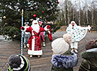Усадьба полесского Деда Мороза в нацпарке "Припятский" 