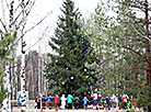 Хороводы вокруг главной новогодней ёлки парка 