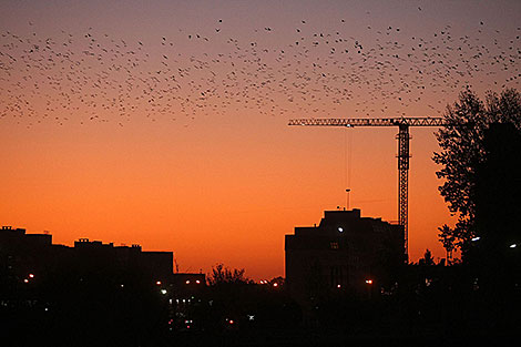 Закат в Гродно