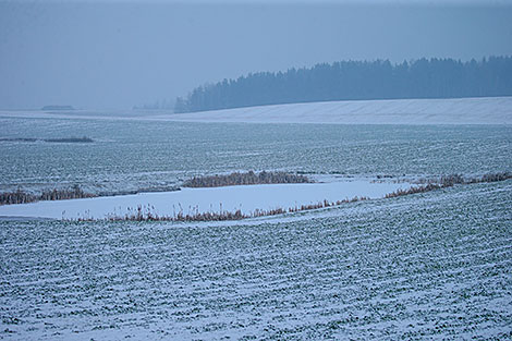 Зимний пейзаж