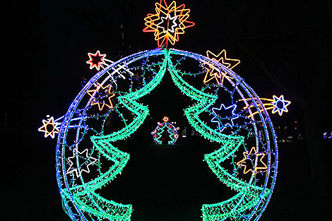 New Year’s night 2020 in Grodno