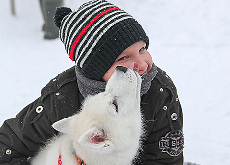 International mushers’ festival Northern Dogs