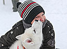 International mushers’ festival Northern Dogs