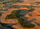 Bird’s eye panorama of Smolevichi District