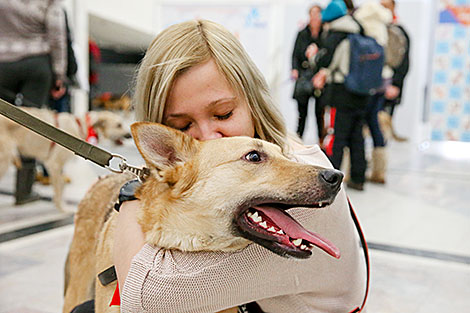 Animal charity event in Minsk