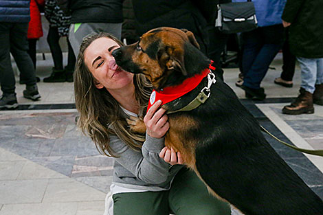 Animal charity event in Minsk