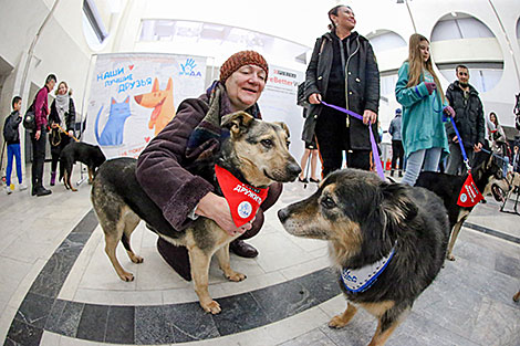 Animal charity event in Minsk