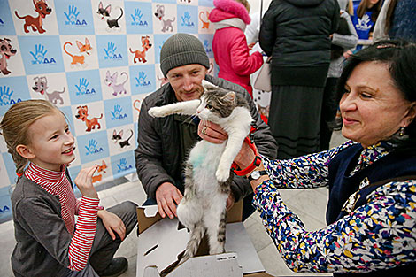 Animal charity event in Minsk