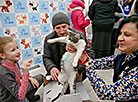 Animal charity event in Minsk