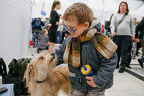 Animal charity event in Minsk