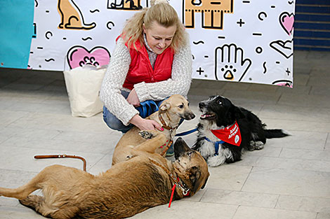 Animal charity event in Minsk