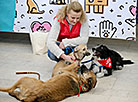 Animal charity event in Minsk