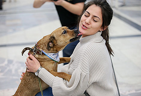 Animal charity event in Minsk