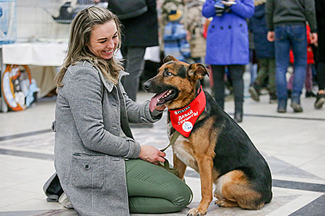 Animal charity event in Minsk