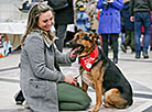 Animal charity event in Minsk