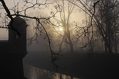 Туман в Несвижском замке