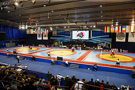 International Sambo Tournament in Minsk