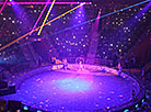 "Звёздный круиз" в Гомельском цирке