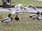 In the Gorky Central Children’s Park