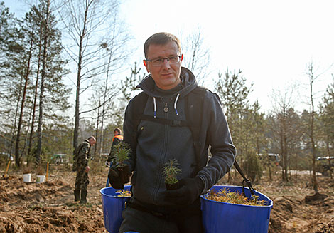 Forest Week in Minsk Oblast 