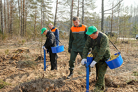 Forest Week in Minsk Oblast 