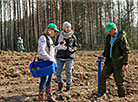 Forest Week in Minsk Oblast 